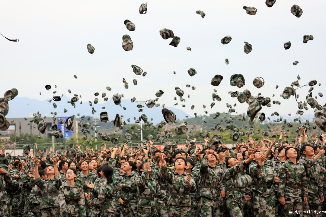 实力14.png 实力14.png