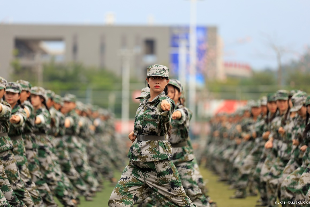 实力11.png 实力11.png